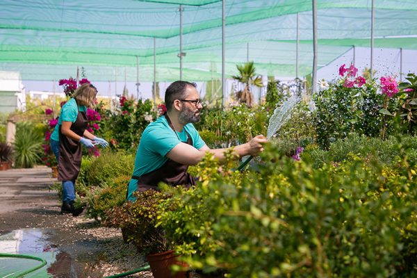 Landscaping-Contractors Landscaping-Contractors